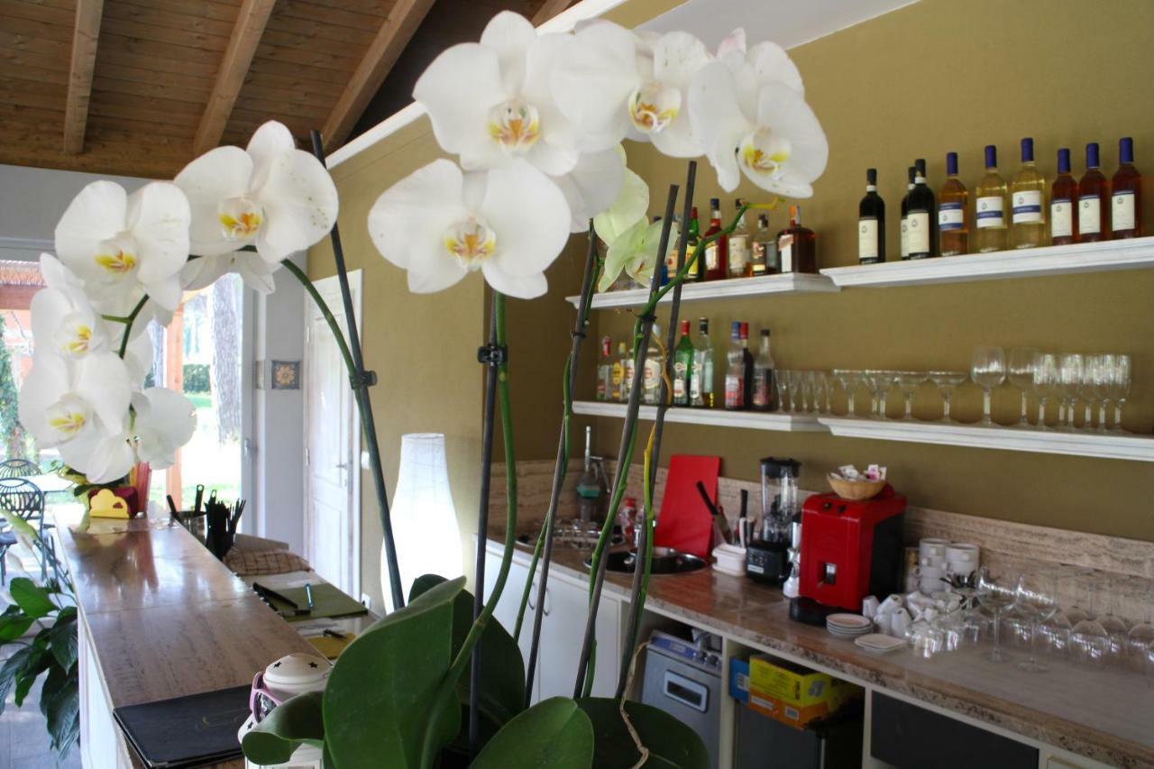 La Fattoria Di Tirrenia Aparthotel Εξωτερικό φωτογραφία